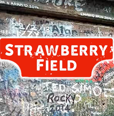 STRAWBERRY FIELD FOREVER - VIDEO